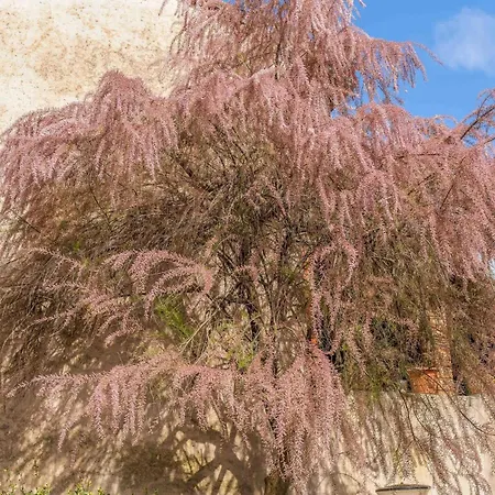 Immerso Nella Natura A Due Passi Dal Maggiore *